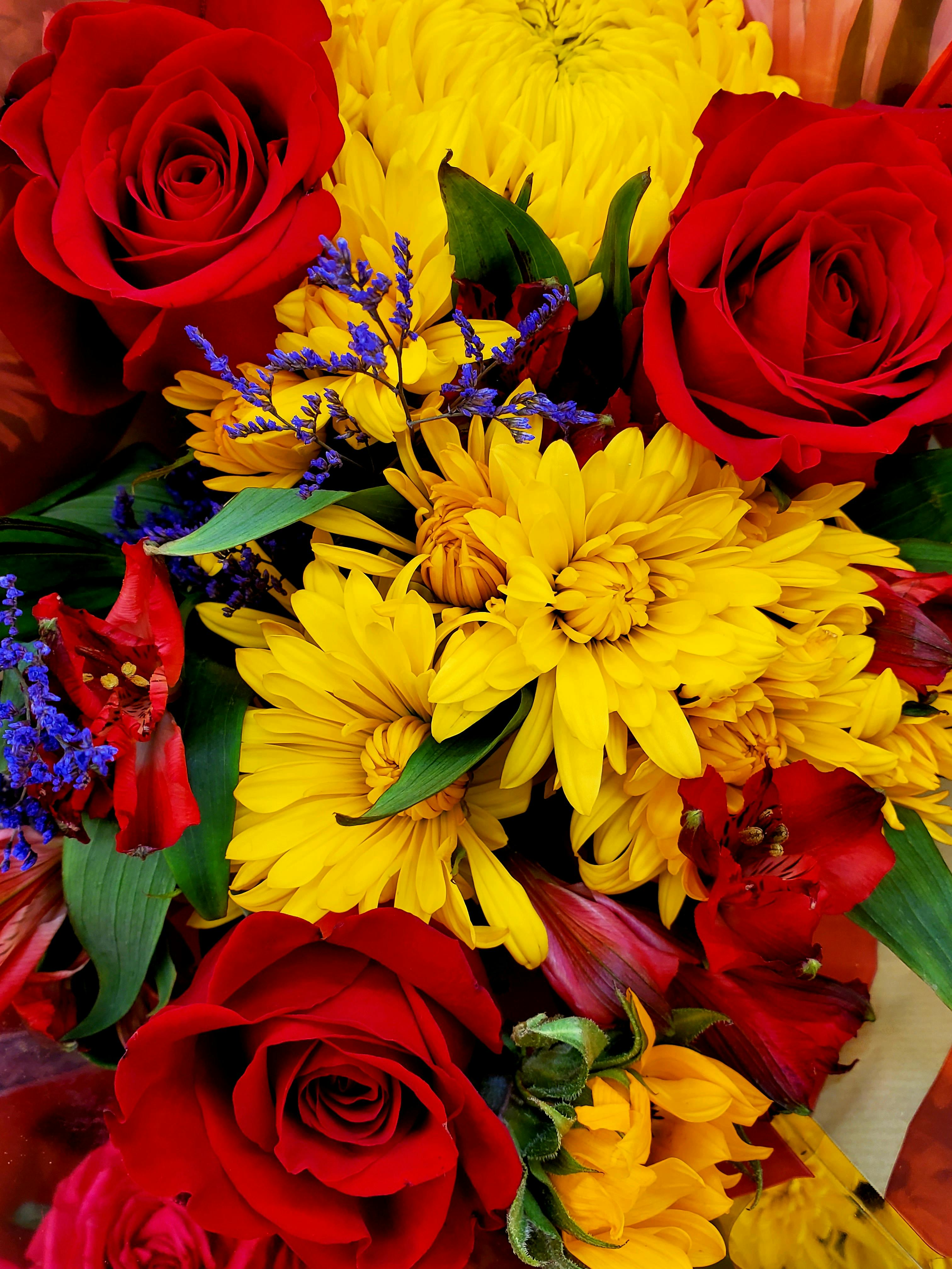 [ColoSach]-a-colorful-floral-bouquet-featuring-red-roses,-yellow-chrysanthemums,-and-purple-accents.