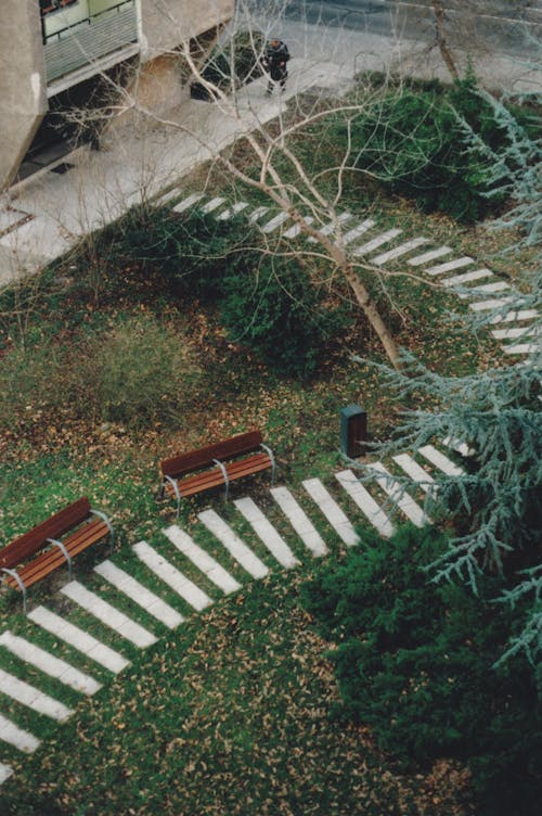 公園長椅的高角度視圖