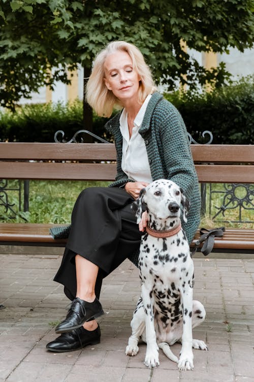 Woman in Black and White Dalmatian Dog Sitting on Brown Wooden Bench