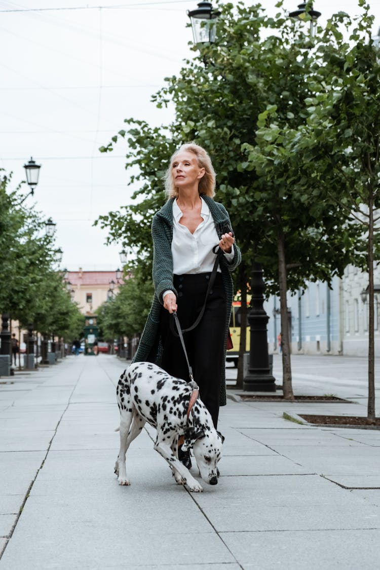 Blonde Woman In Black Skirt And White Dress Shirt Walking Her Dalmatian Dog