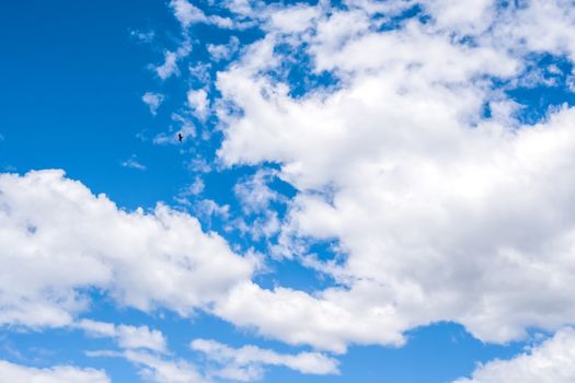 低角度下，白天五彩斑斓的天空、云朵与一只翱翔的小鸟