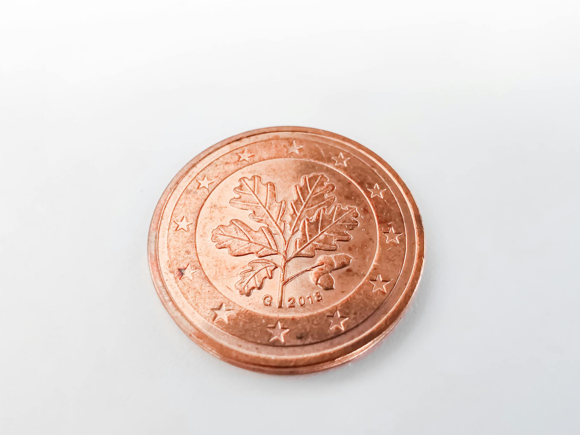 Detailed view of a Euro cent coin with oak leaf design on a neutral white backdrop.