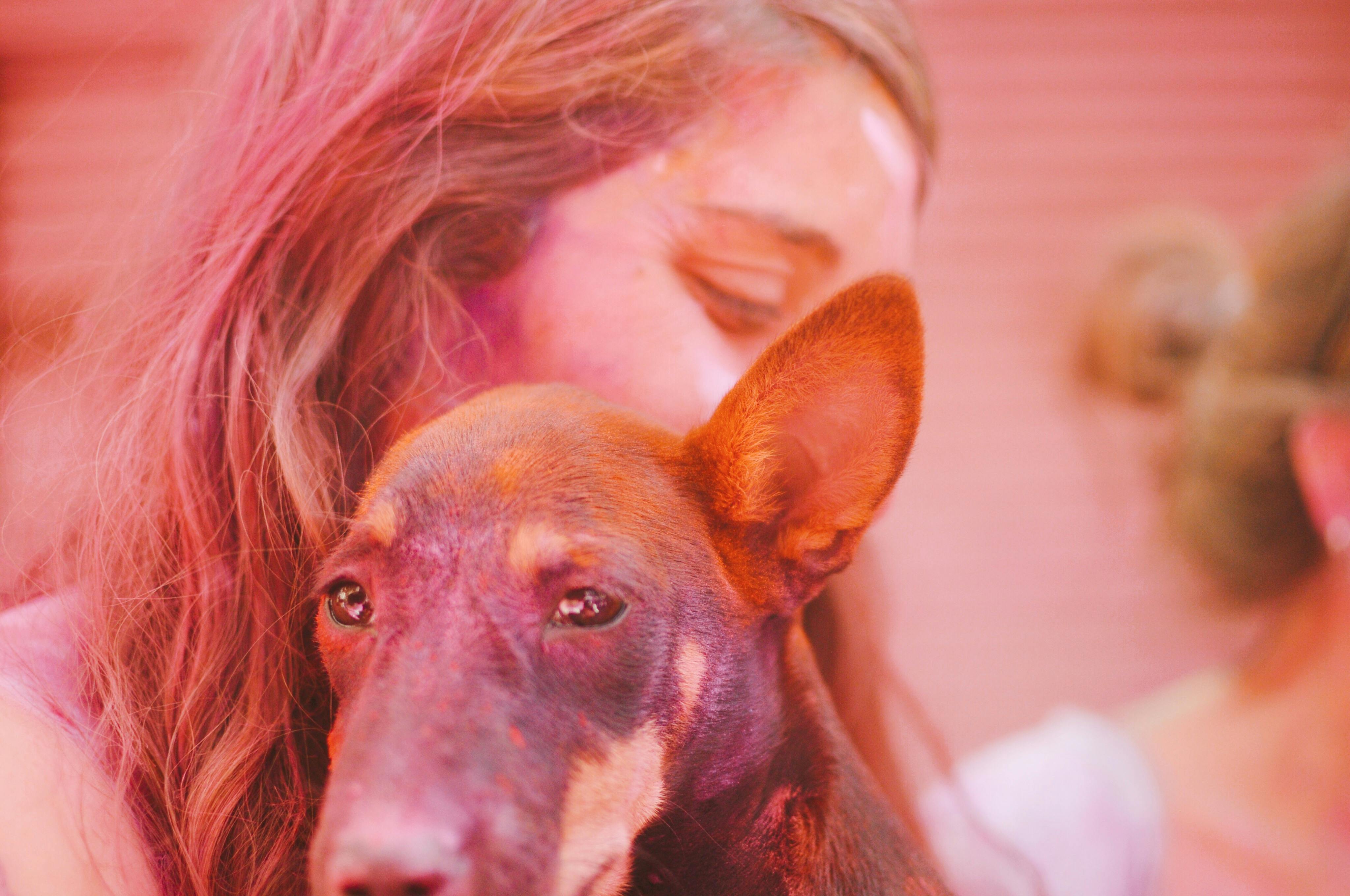 Joyful embrace with a dog during a colorful Holi festival celebration in India.