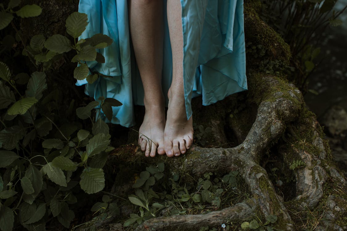 Close-up of the Feet of a Person Standing on Tree Roots · Free Stock Photo