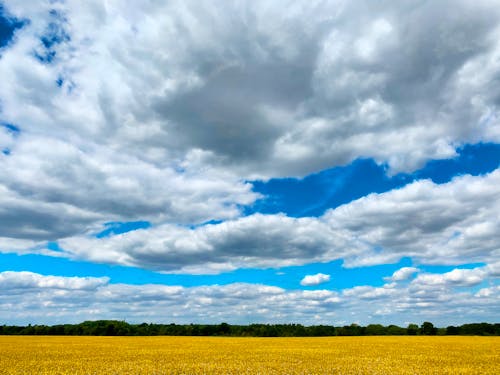 Foto stok gratis awan, bidang, cuaca