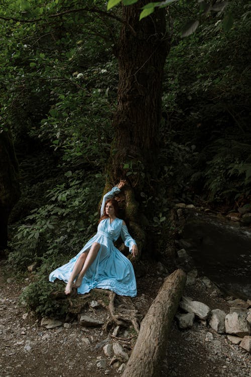 Woman in Blue Dress Sitting near  a Tree in the Forest