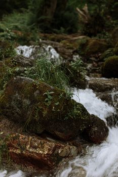 特写一个宁静的森林溪流，它流过苔藓覆盖的岩石，营造出一片平静的自然景象