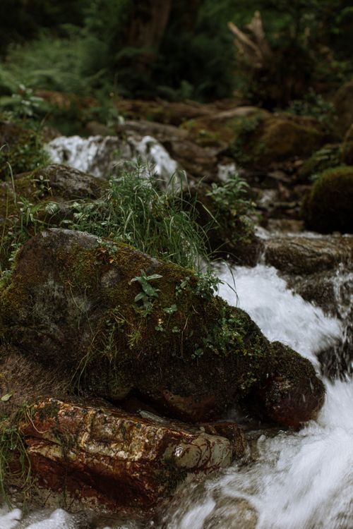 Free Close-up of a tranquil forest stream flowing over moss-covered rocks, creating a calming nature scene. Stock Photo