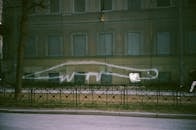 Dinosaur Mural on Wall