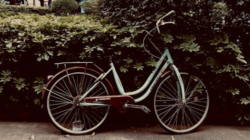 Gratuit Photos gratuites de bicyclette, feuilles, roues Photos