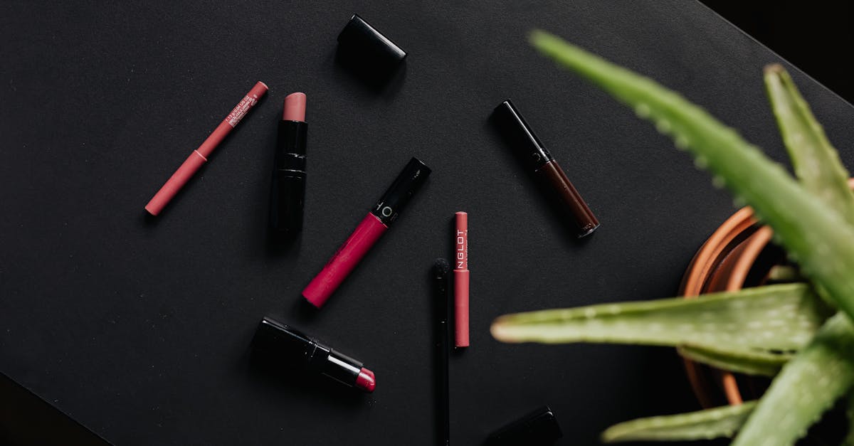 Overhead view of an assortment of lipsticks and makeup products complemented by an aloe plant, on a black background. Overhead view of an assortment of lipsticks and makeup products complemented by an aloe plant, on a black background.