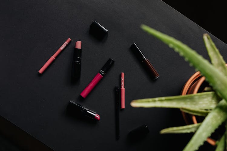 Overhead Shot Of Beauty Products Near A Plant