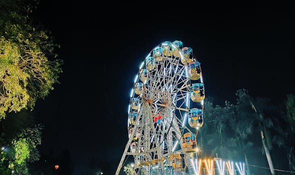 A vibrant Ferris wheel illuminated at night in an amusement park with a scenic background.