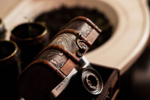 From above of vintage photo camera in retro wooden chest placed on table near potted plants
