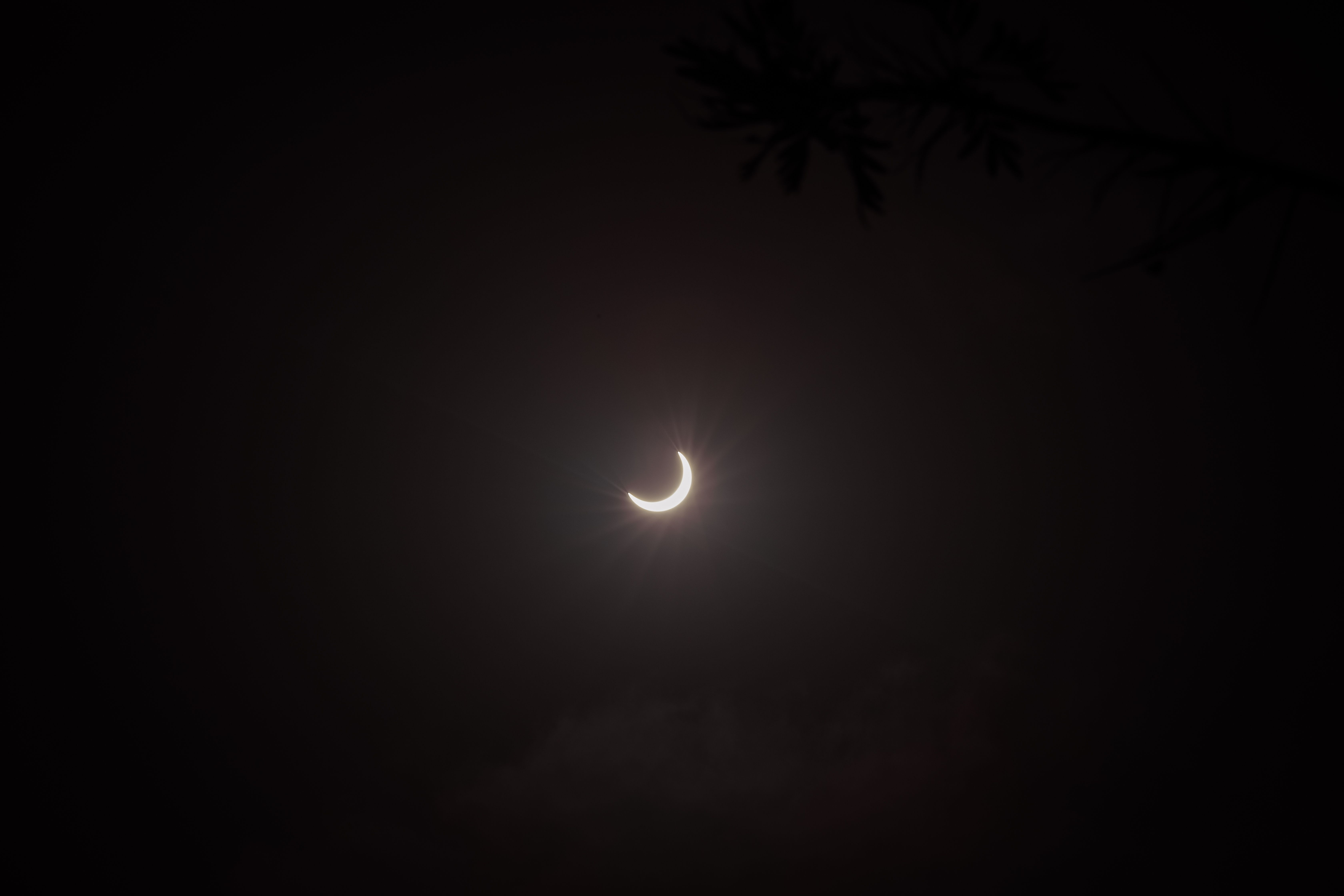 一轮新月在漆黑的夜空中宁静地闪闪发光，投射出柔和的光芒