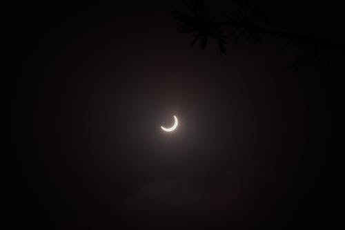 Free Crescent Moon on Dark Sky  Stock Photo
