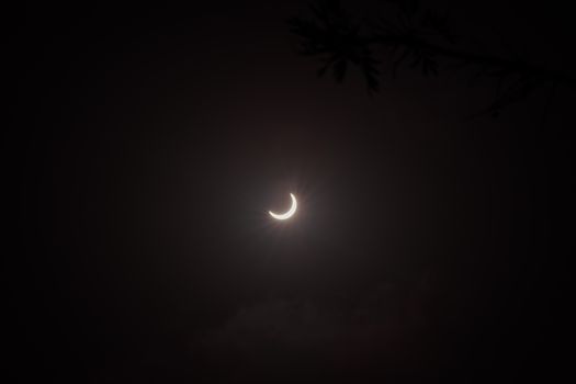 一轮新月在漆黑的夜空中宁静地闪闪发光，投射出柔和的光芒