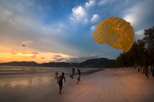 Free stock photo of beach, para sailing, parachute