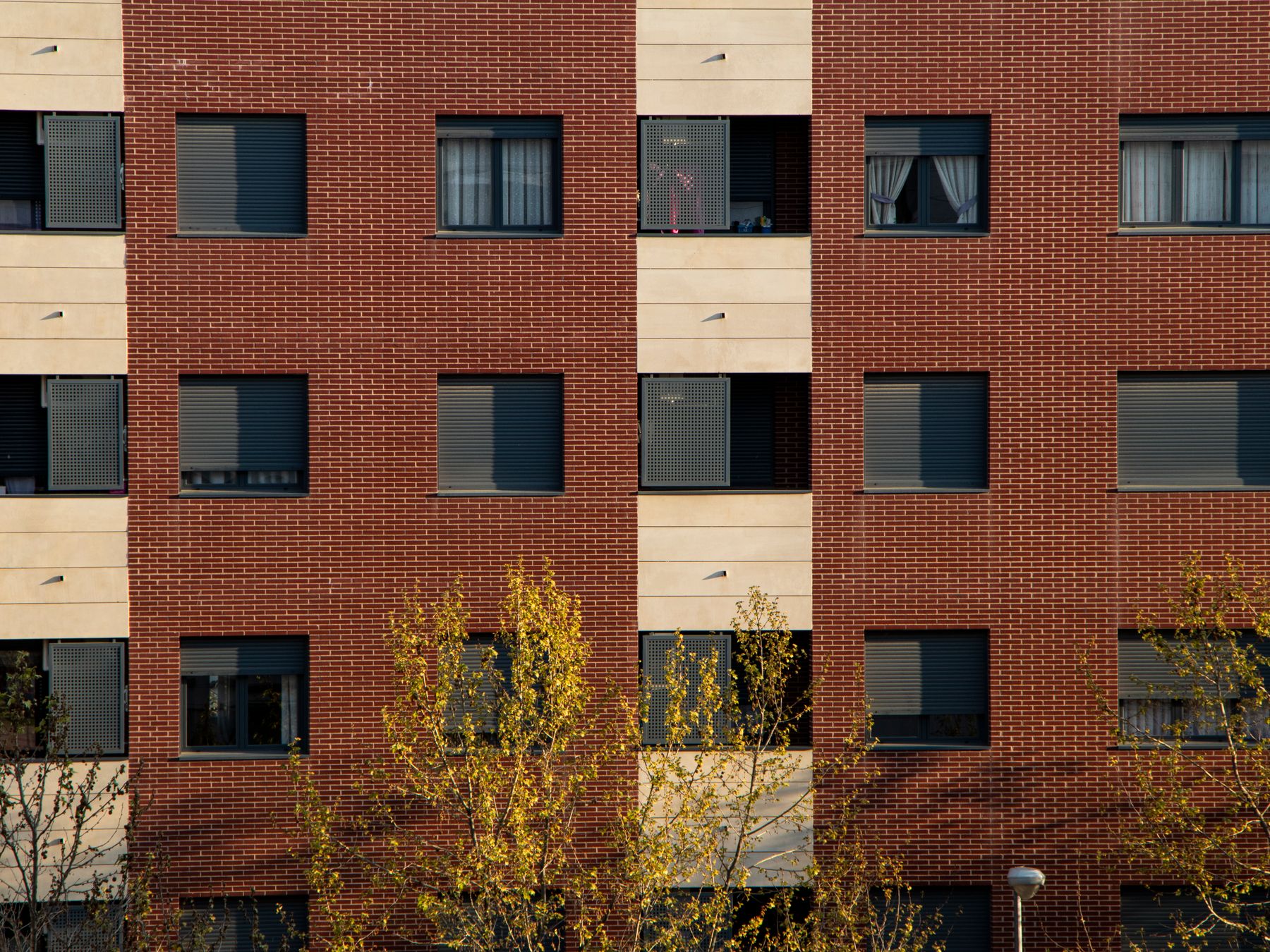 Newbury — student move with boxes and a van