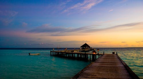 Brown Wooden Dock on Body of Water