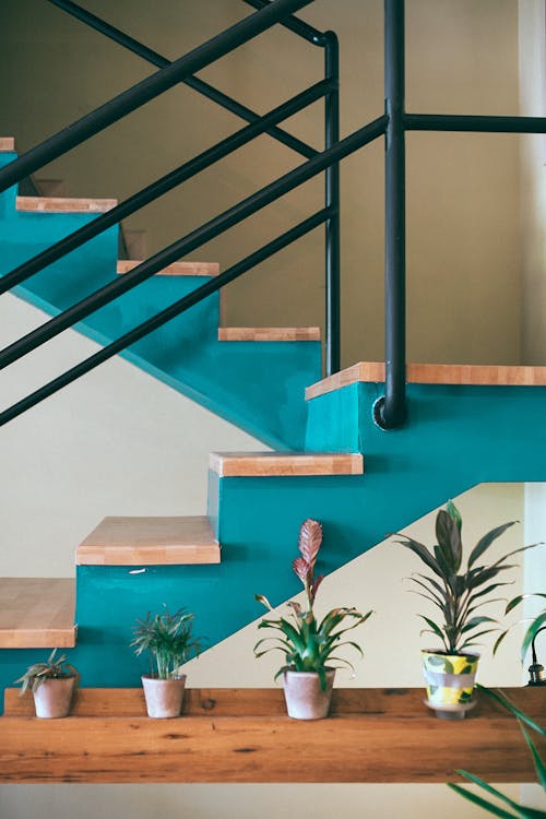 Various potted houseplant placed on shelf near wooden stairs