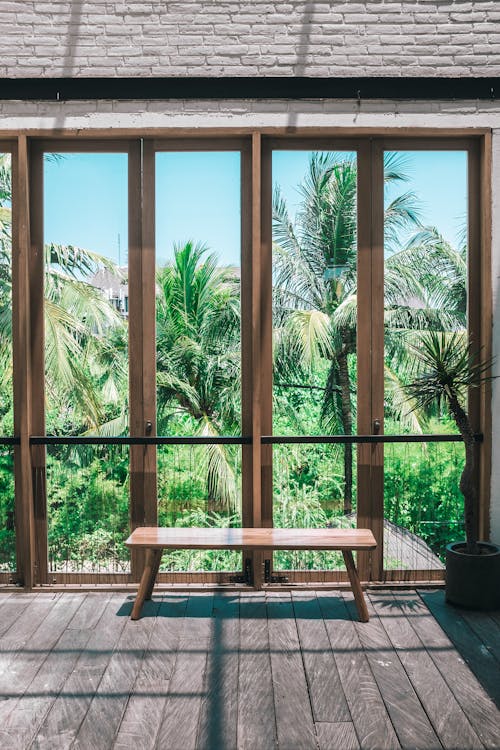 Free Wooden chair placed in spacious villa near panoramic windows overlooking lush green tropical garden against cloudless blue sky Stock Photo