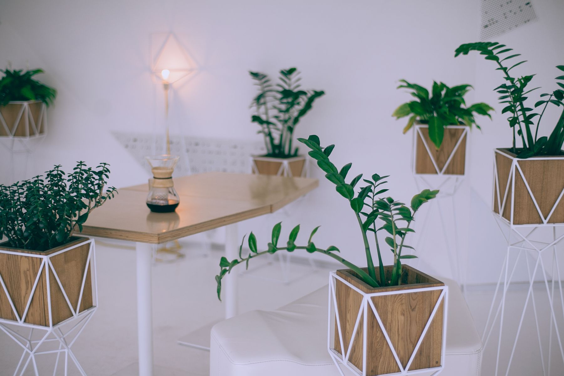 Aesthetic cafe interior with plants and wooden table