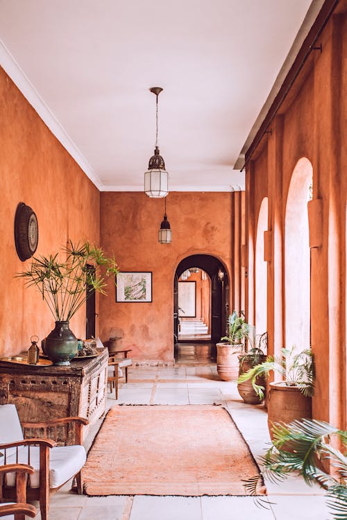 Stylish interior of spacious mansion porch in rustic style with arched doorways and big potted plants on sunny day