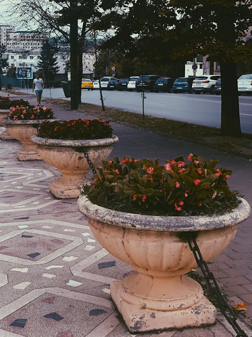 Kostenloses Stock Foto zu allee, alt, annehmlichkeit