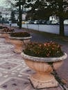 Shabby stone flowerbeds decorating city street