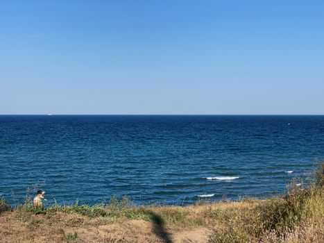 Idyllic view of calm sea washing grassy coast with foamy waves beneath cloudless blue sky