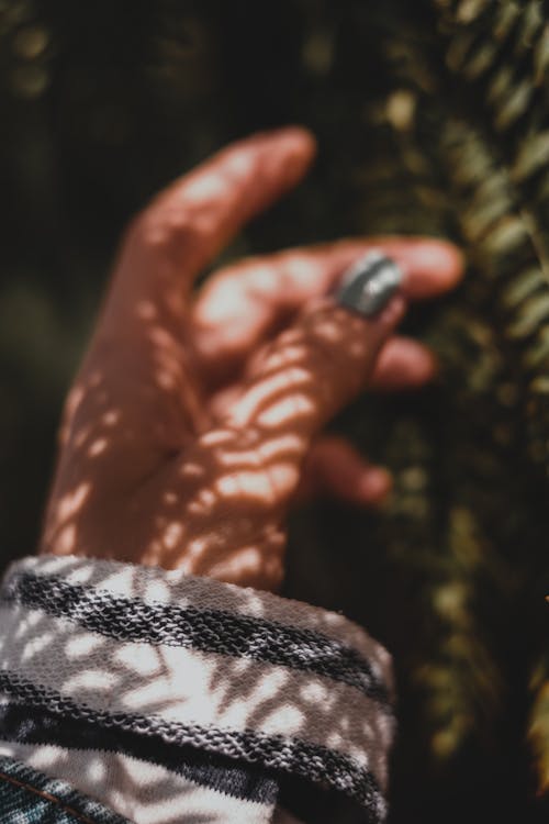 Základová fotografie zdarma na téma botanický, dotyk, estetický