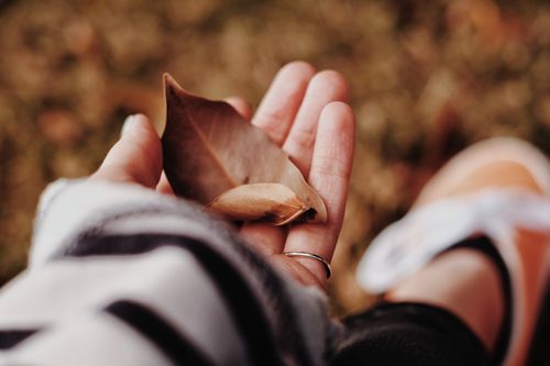 Free A cozy autumn scene featuring a hand holding a dried leaf, symbolizing fall warmth and nature's delicate beauty. Stock Photo