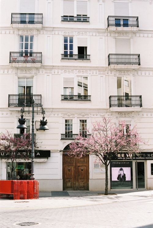 Free Charming European building facade adorned with blooming trees in a city street. Stock Photo