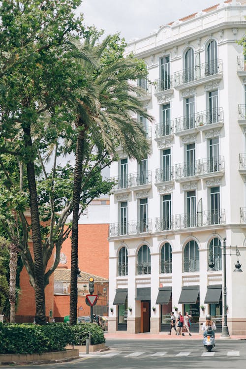 Foto profissional grátis de ambiente urbano, arquitetura, árvores