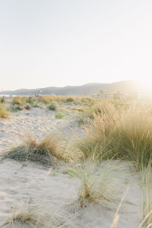 Free Peaceful beach scene with sand dunes and gentle grasses under a soft sunset light. Stock Photo