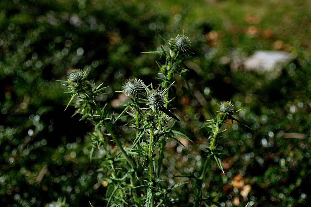 Sports drink bottle and towel on a workout bench