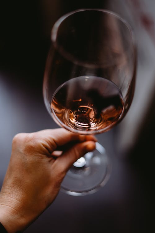 High angle crop person demonstrating wineglass with fine rose wine in blurred interior