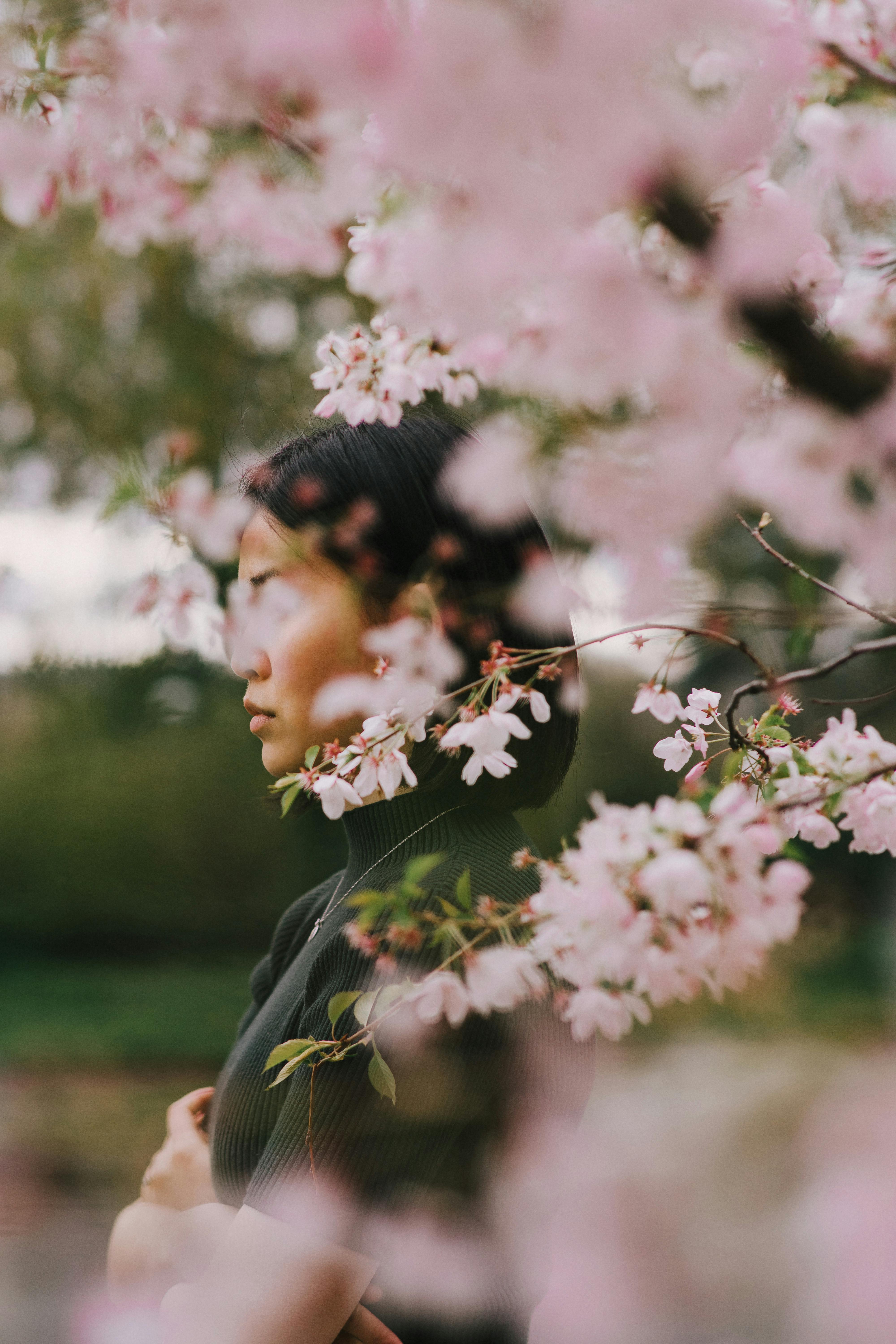 calm asian woman standing near blooming cherry tree