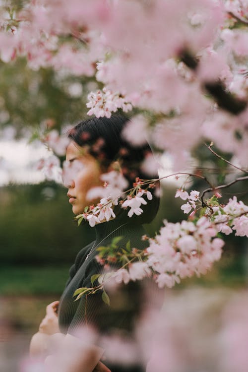 Side view young contemplative Asian female in black outfit standing near blossoming pink cherry tree in spring park