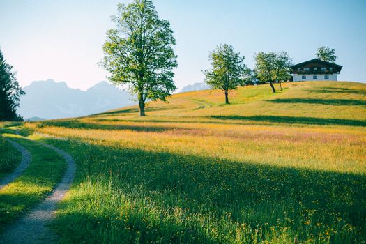 Scenery view of tranquil grassy valley with small cottage and rural road in summertime in countryside