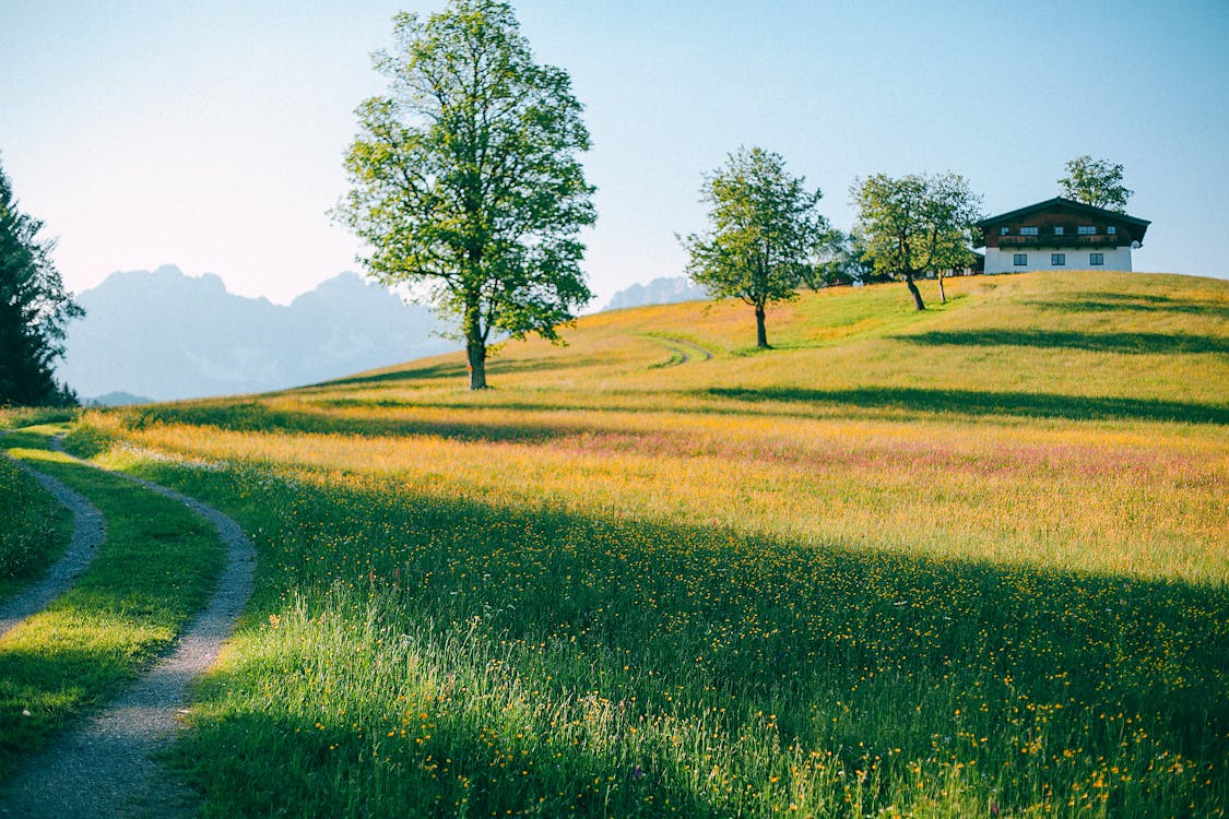 Lonesome house on grassy valley in peaceful countryside