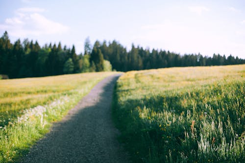 Rural road running through grassy valley in countryside