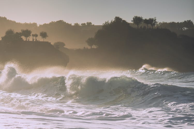 Powerful Wavy Ocean Washing Picturesque Coast With Trees