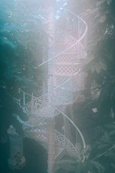 现代温室里，一座带有金属栏杆的曲线楼梯掩映在郁郁葱葱的绿植与灌木丛中