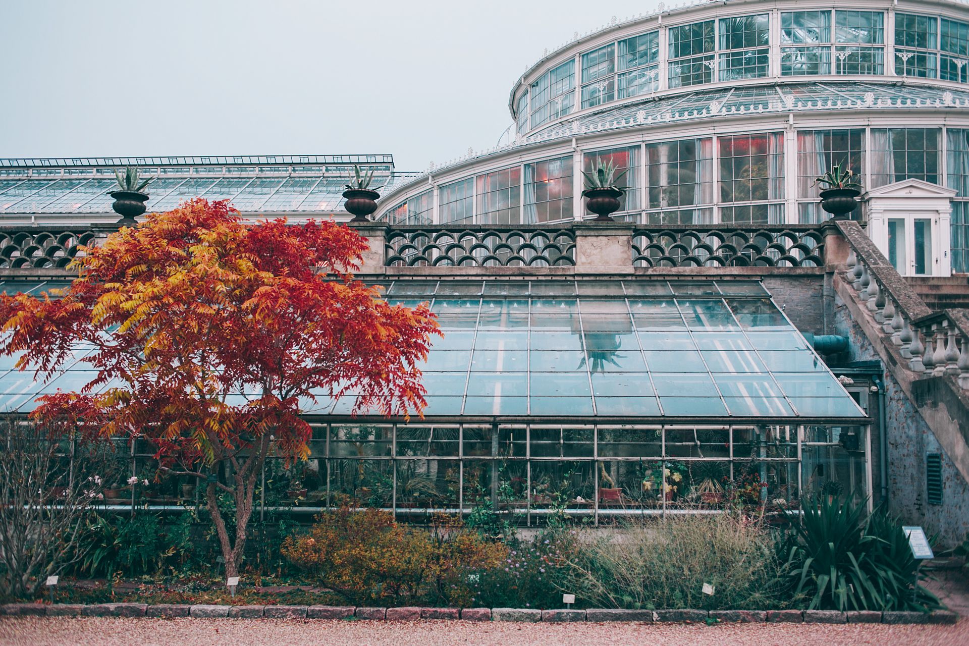 A modern glass greenhouse surrounded by vibrant autumn foliage in a serene garden setting.