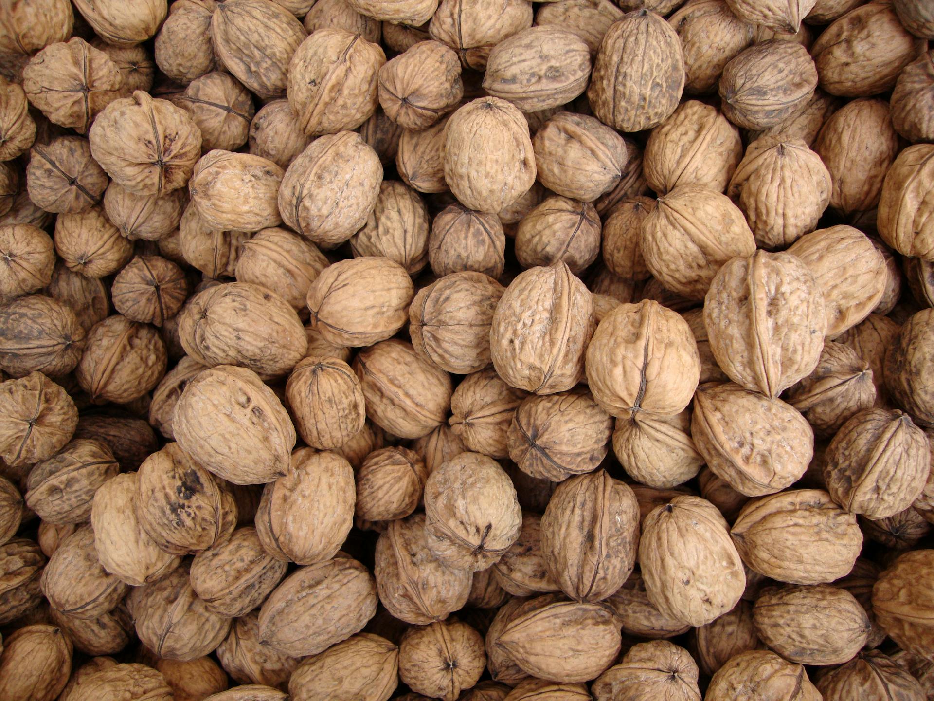 Walnuts in Shells