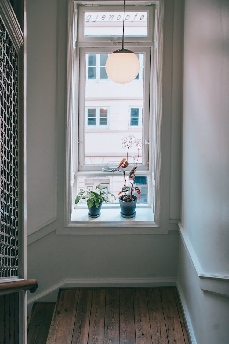 Potted Plants On Windowsill In Apartment Building