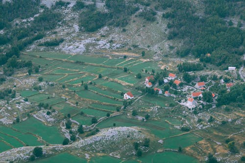 Green plantations in small village in mountainous valley