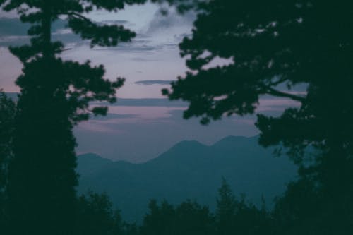 Mountain range surrounded by trees at sunset